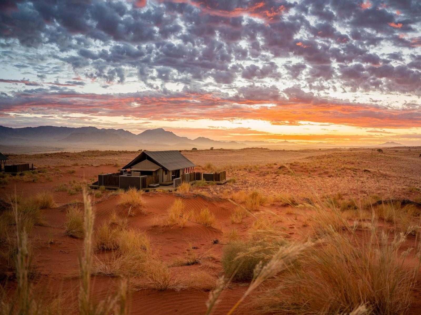 Wolwedans Dune Camp NamibRand Eksteriør bilde